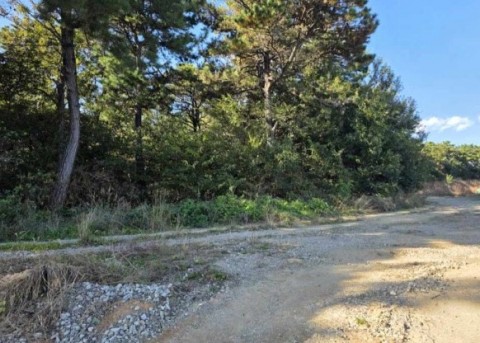 [문화유적조사보고 제25-11집] 부여 초촌면 소사리 산43번지 개간사업부지 국가유산 영향진단조사 보고서 리스트 이미지